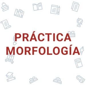 Práctica Morfología